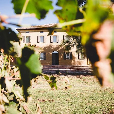 Agriturismo Vitae Fabbrico Zewnętrze zdjęcie