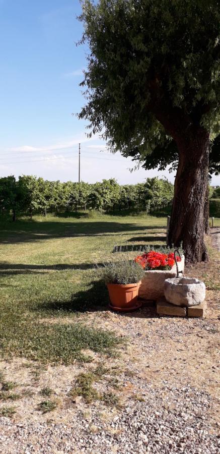 Agriturismo Vitae Fabbrico Zewnętrze zdjęcie