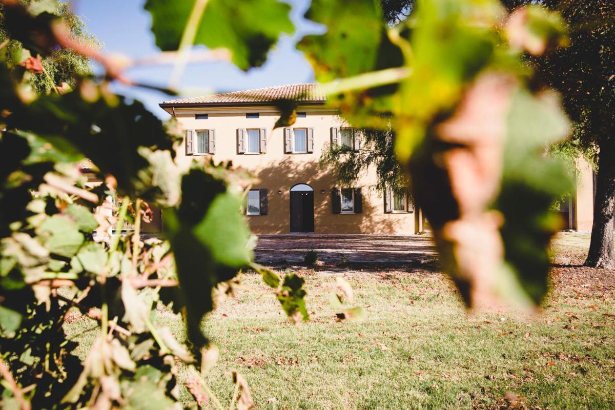 Agriturismo Vitae Fabbrico Zewnętrze zdjęcie