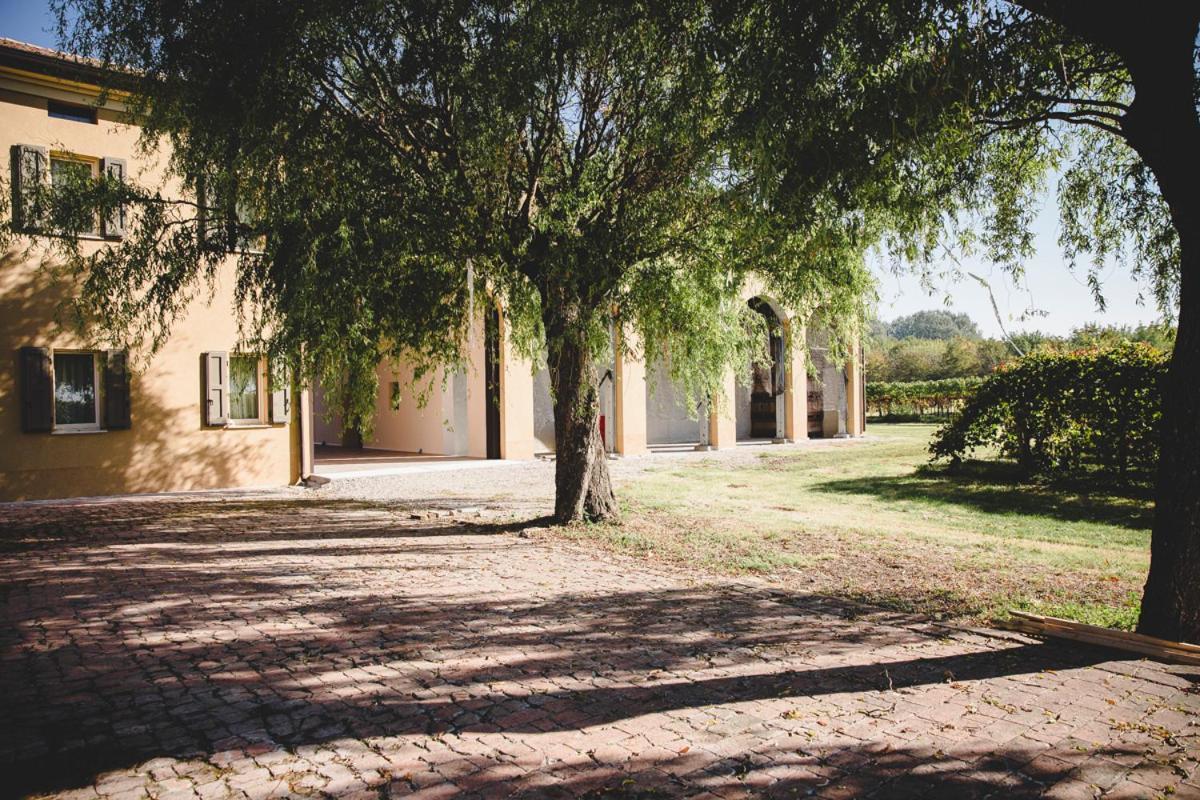 Agriturismo Vitae Fabbrico Zewnętrze zdjęcie