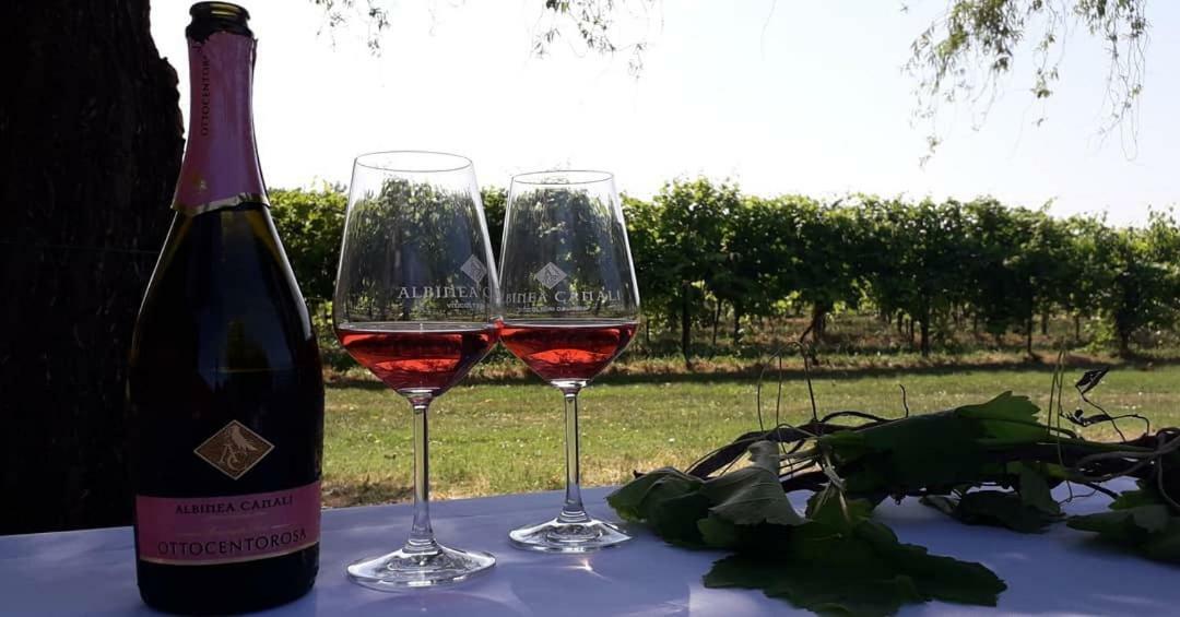 Agriturismo Vitae Fabbrico Zewnętrze zdjęcie