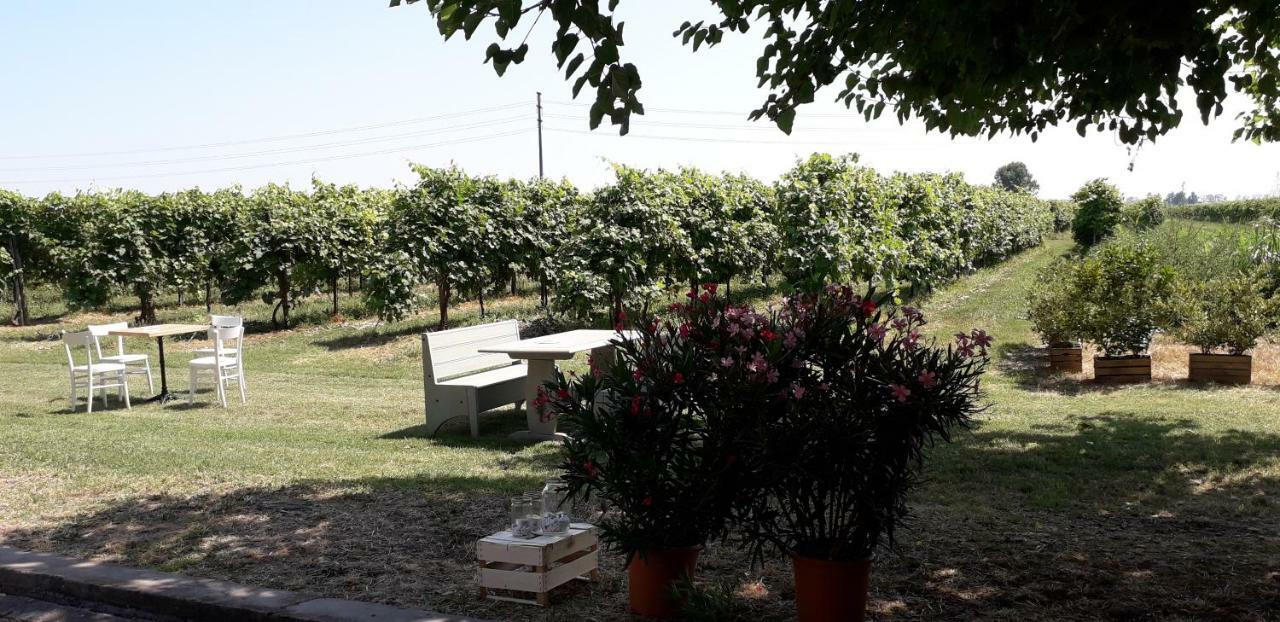 Agriturismo Vitae Fabbrico Zewnętrze zdjęcie