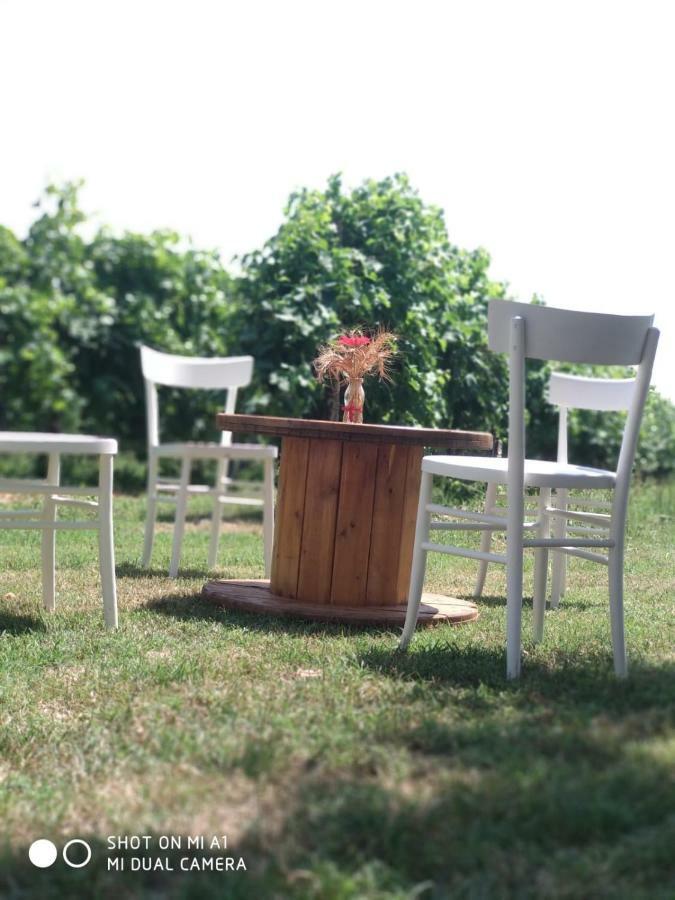 Agriturismo Vitae Fabbrico Zewnętrze zdjęcie