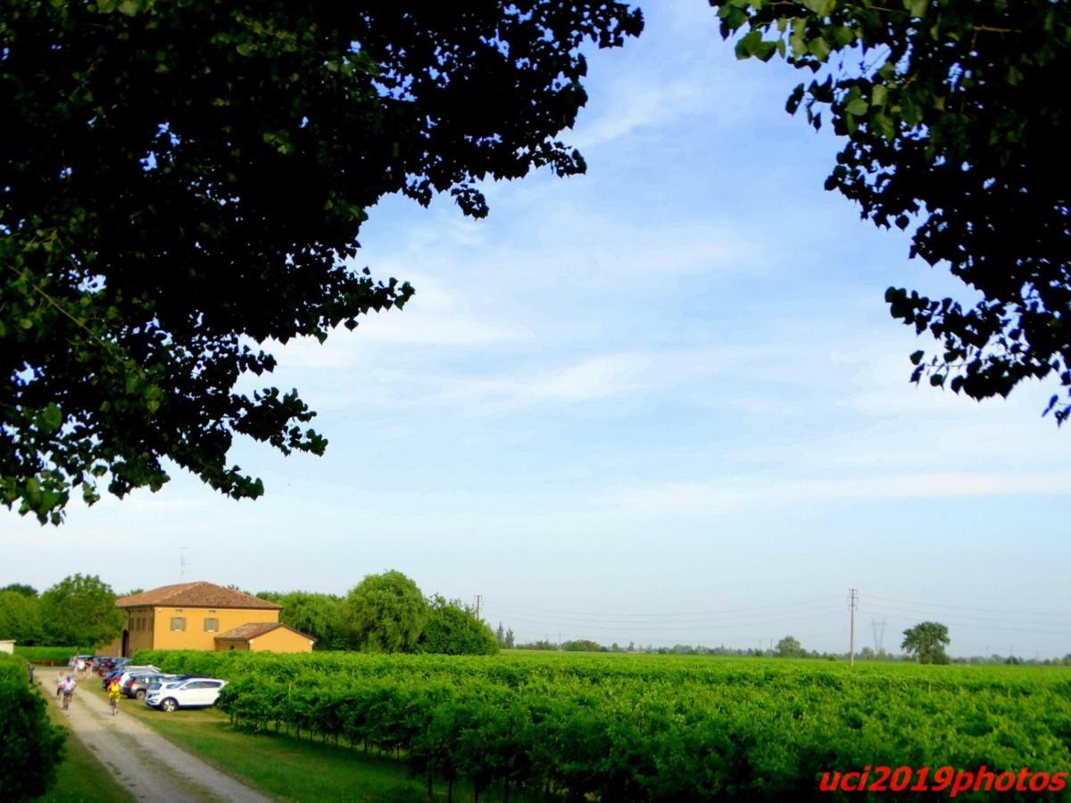 Agriturismo Vitae Fabbrico Zewnętrze zdjęcie